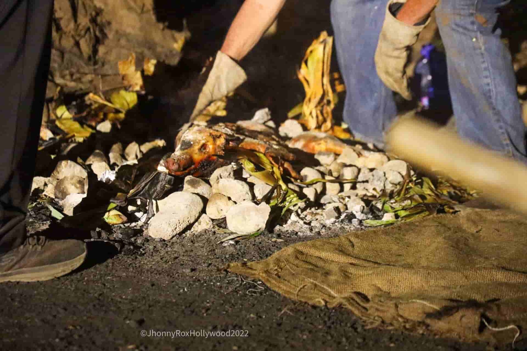 Kālua pig being lifted from the imu at a luau