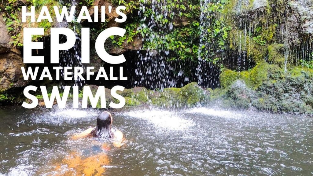 Big Island Things To Do The Best Big Island Waterfall Swimming Holes 1
