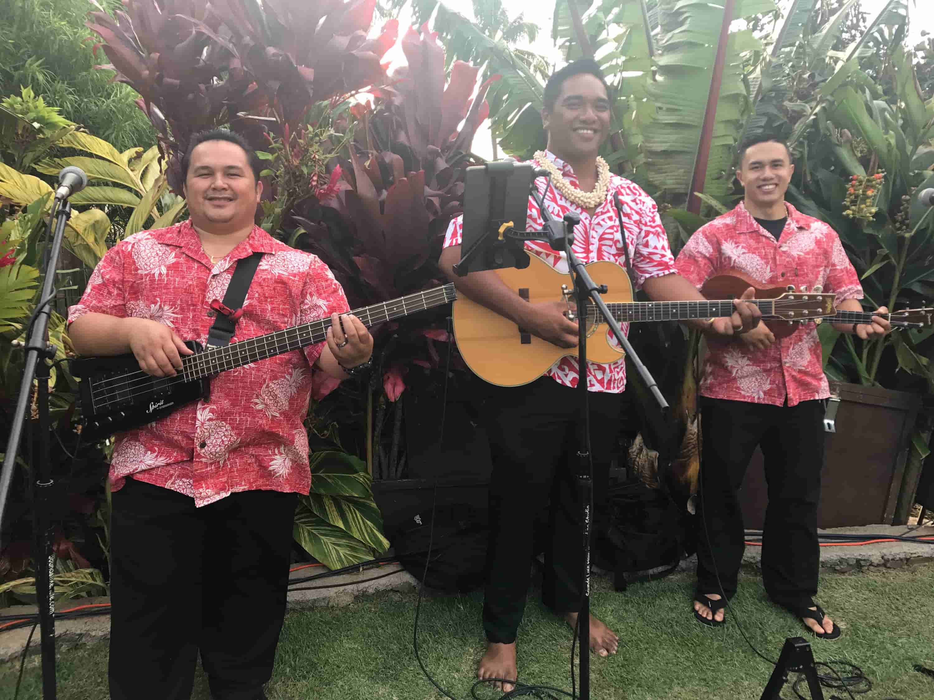 Live Hawaiian music trio performing in aloha shirts amid tropical garden